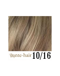 Dante Flex S10/16 Dante Flex S10/16