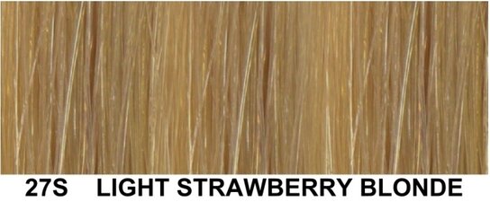AD weft/haarmat Kleur :27 AD weft/haarmat Kleur :27