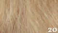 Great Hair Tape Extensions 40 cm kleur 20 - lichtblond