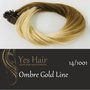 Yes Hair Extensions Gold Line Ombre 50/55 cm NS kleur 14/1001