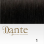 Dante Full Head Clips In LIGHT 42 cm Natural Straight kleur 1 Zwart