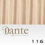 Dante Full Head Clips In LIGHT 42 cm Natural Straight kleur 116