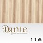 Dante Clips In LIGHT 42 cm Natural Straight kleur 116