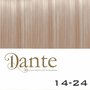 Dante Full Head Clips In LIGHT 42 cm Natural Straight kleur 14-24