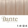 Dante  Clips In LIGHT 42 cm Natural Straight kleur 14-24