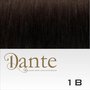 Dante  Clips In LIGHT 42 cm Natural Straight kleur 1B Zwart Bruin