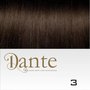 Dante Full Head Clips In LIGHT 42 cm Natural Straight kleur 3 Midden Donker Bruin