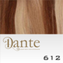 Dante Full Head Clips In LIGHT 42 cm Natural Straight kleur 612