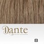 Dante Full Head Clips In LIGHT 42 cm Natural Straight kleur 8