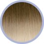 Euro Socap Flat Ring On extensions OMBRE 10/20 Donkerblond - Lichtblond