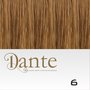 Dante Full Head Clips In LIGHT 42 cm Natural Straight kleur 6